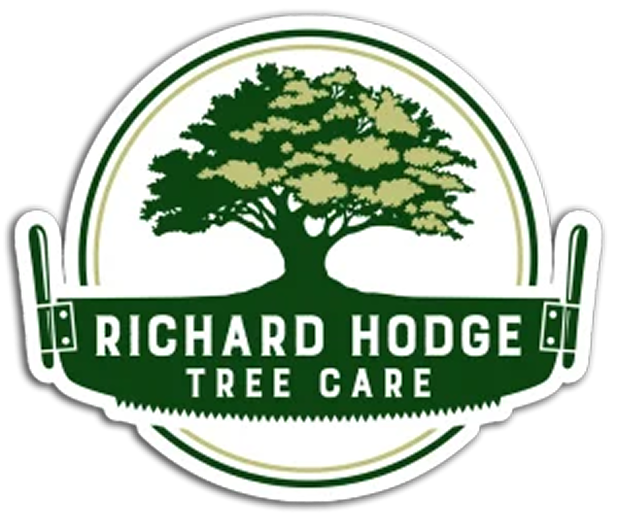 Richard Hodge Tree Care